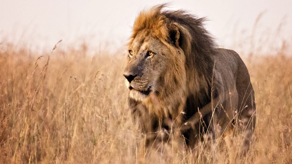 147087_0e6d1029-1024x576