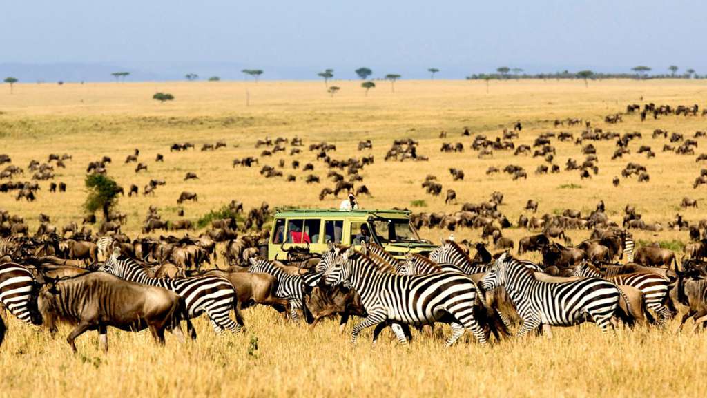 Serengeti-National-Park-Featured-Image-1024x576